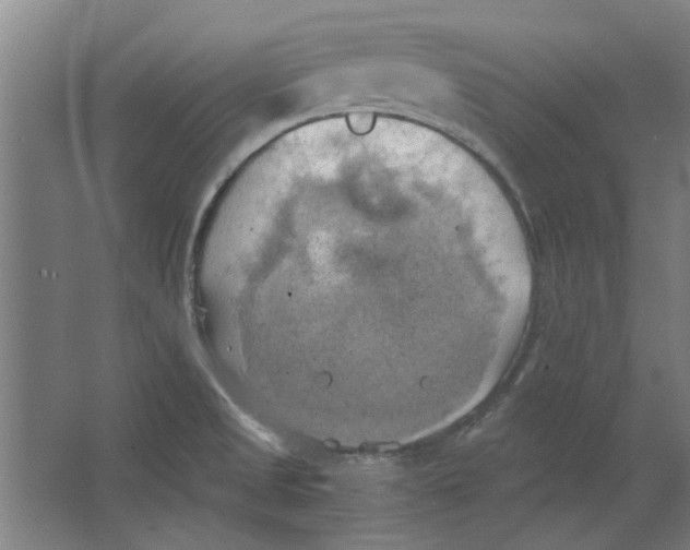 X0000063471525200602101727