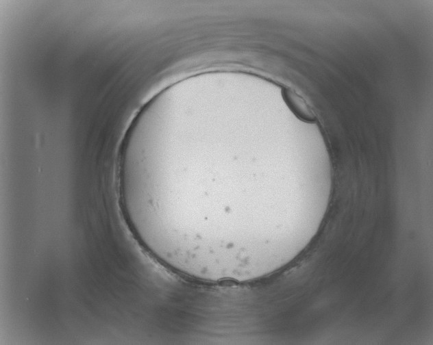 X0000063471526200602101727