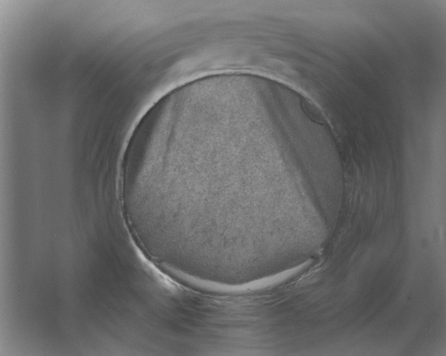 X0000063471527200602101727