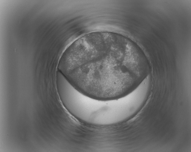 X0000063471529200602101727