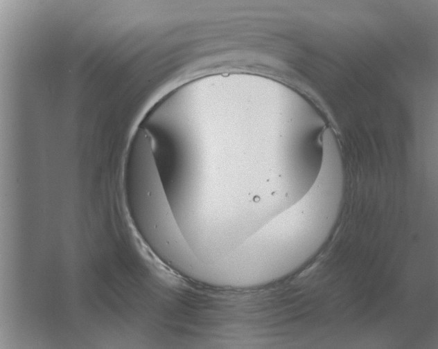 X0000063471530200602101727