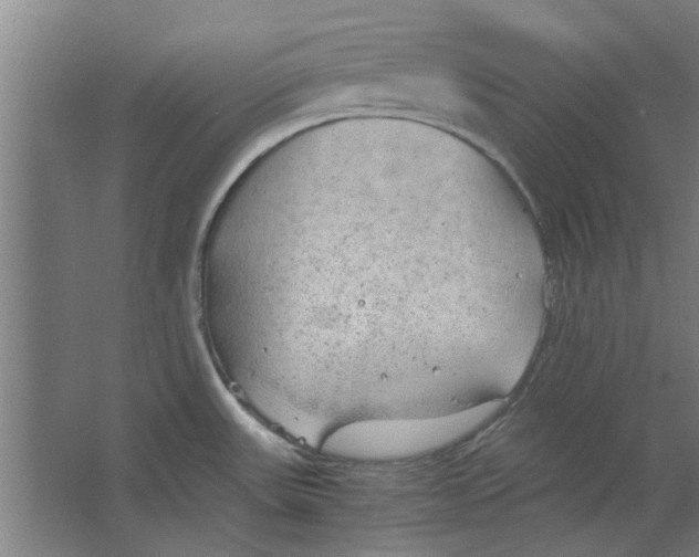 X0000063471531200602101727