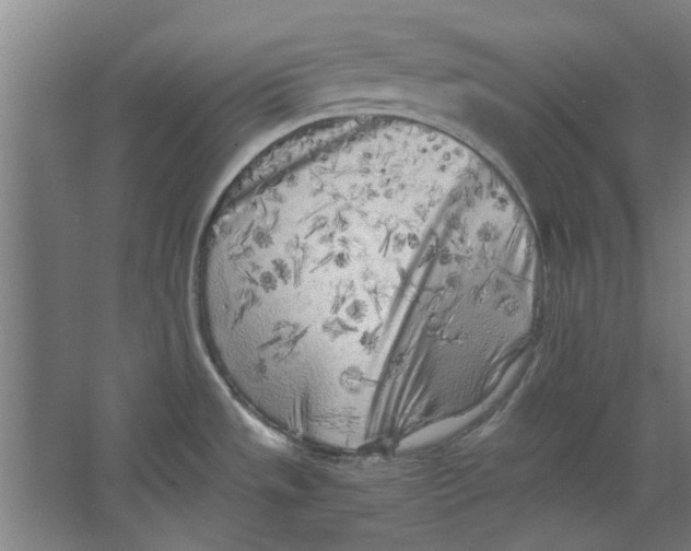 X0000063471533200602101727