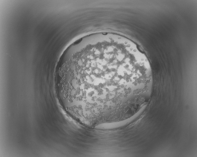 X0000063471534200602101727