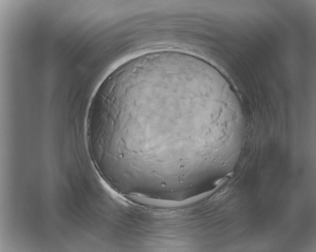 X0000063471535200602101727