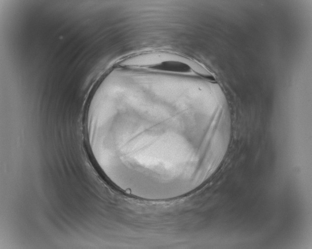 X0000063470002200602172008