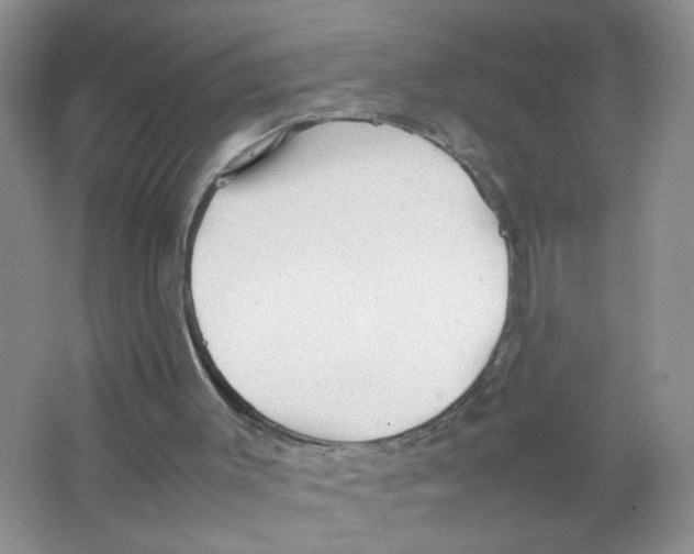 X0000063470003200602172008