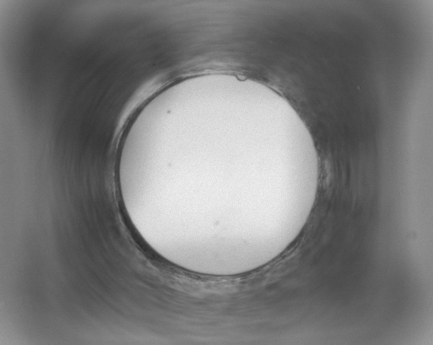 X0000063470004200602172008