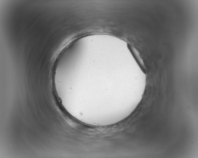 X0000063470005200602172008