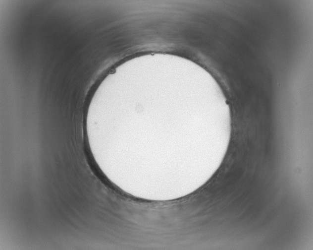 X0000063470011200602172008