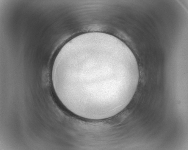 X0000063470012200602172008