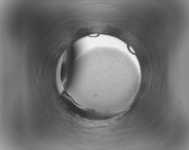 X0000063470031200602172008