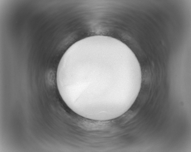 X0000063470036200602172008