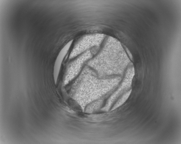 X0000063470041200602172007