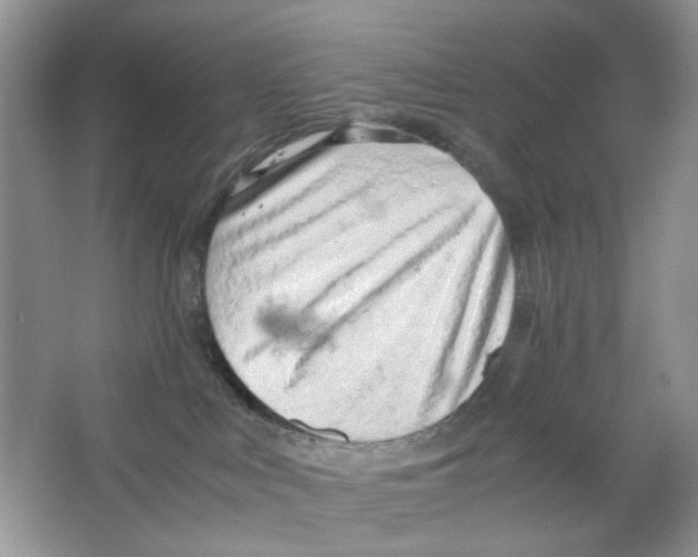 X0000063470043200602172007