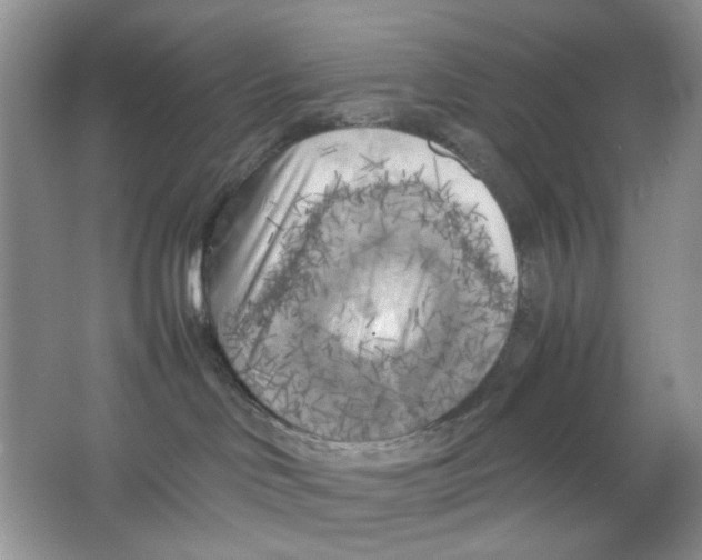 X0000063470046200602172007