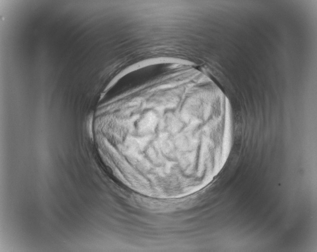 X0000063470047200602172007
