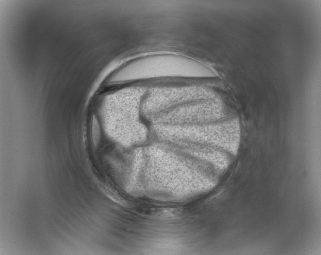 X0000063470056200602172007