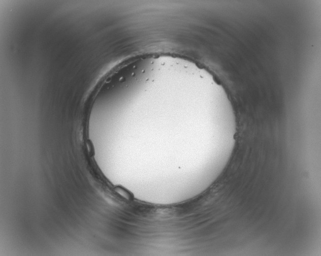 X0000063470060200602172007