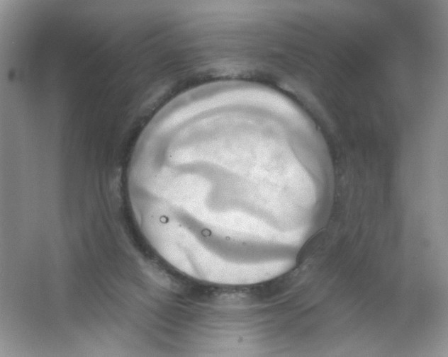 X0000063470066200602172007