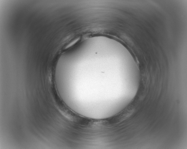 X0000063470072200602172007