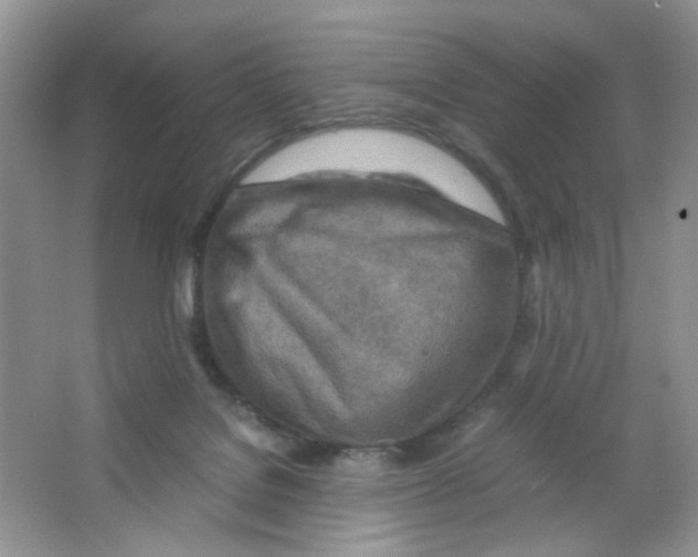 X0000063470076200602172007