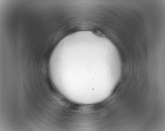 X0000063470078200602172007