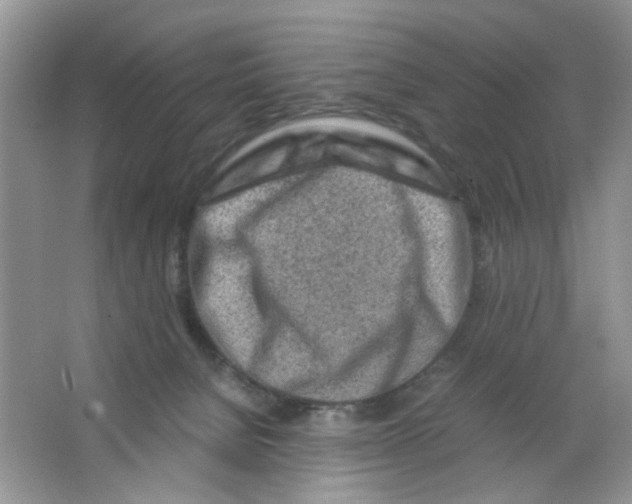 X0000063470080200602172007