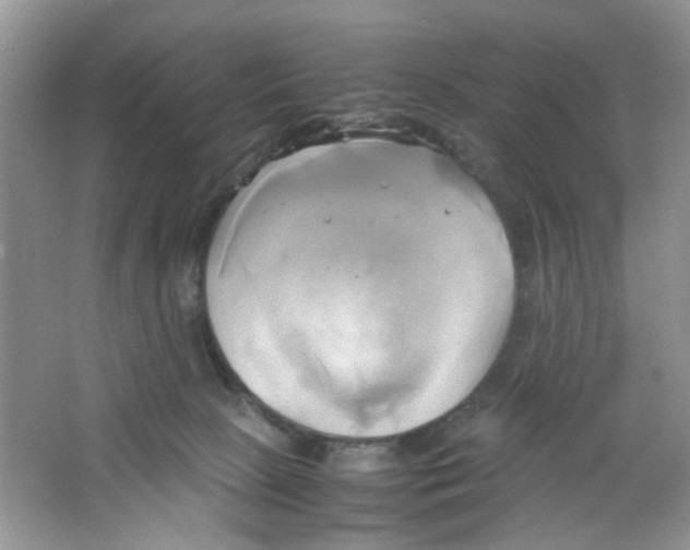 X0000063470081200602172007