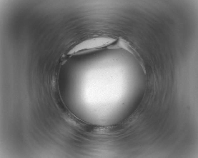 X0000063470084200602172007
