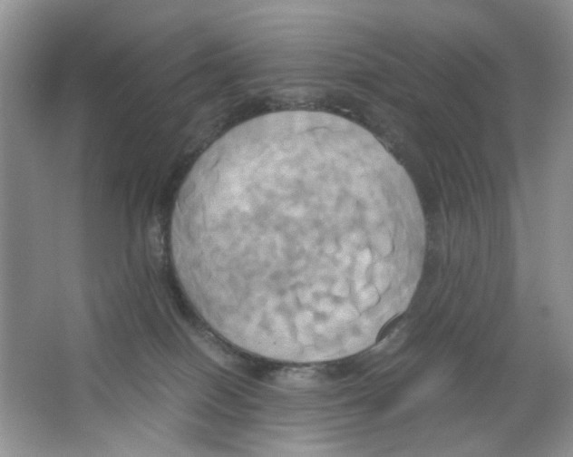 X0000063470086200602172007