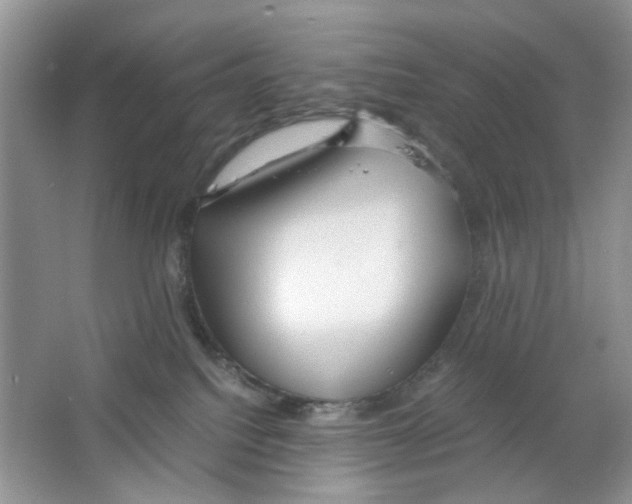 X0000063470088200602172007