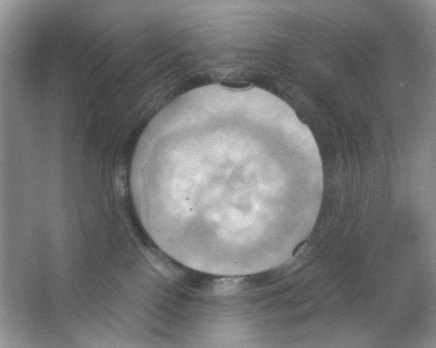 X0000063470090200602172007