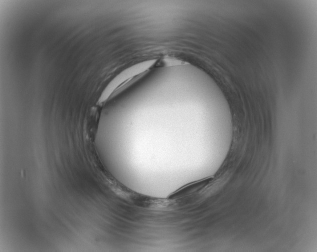 X0000063470096200602172007