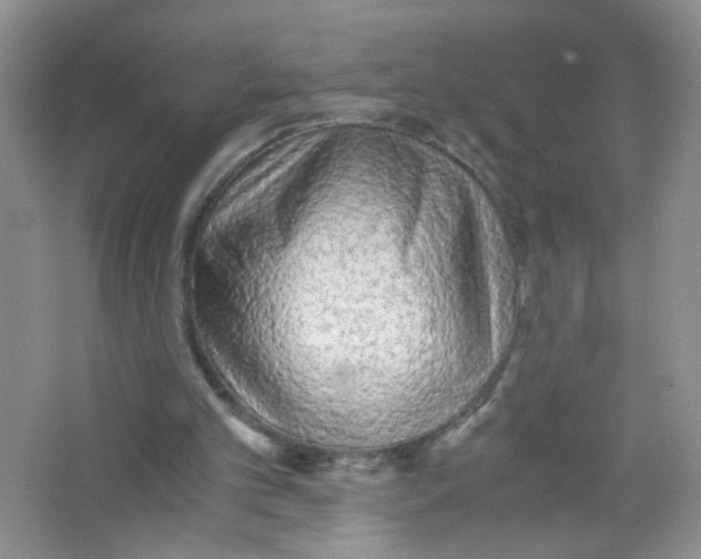 X0000063470101200602172006