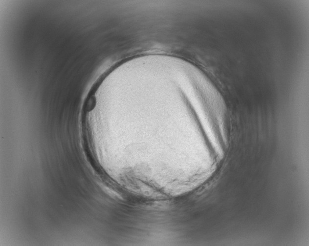 X0000063470102200602172006