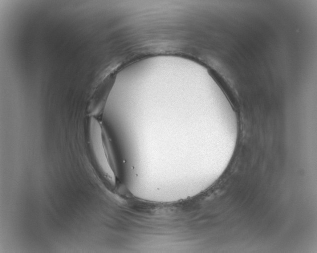 X0000063470105200602172006