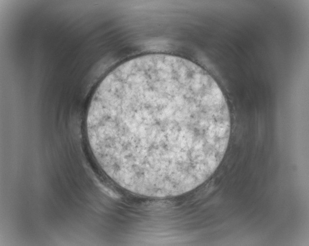 X0000063470106200602172006