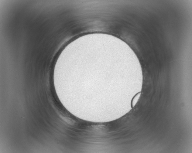 X0000063470108200602172006