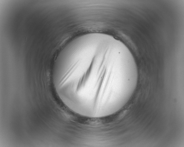 X0000063470113200602172006