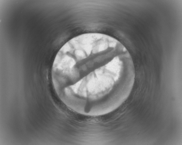 X0000063470115200602172006