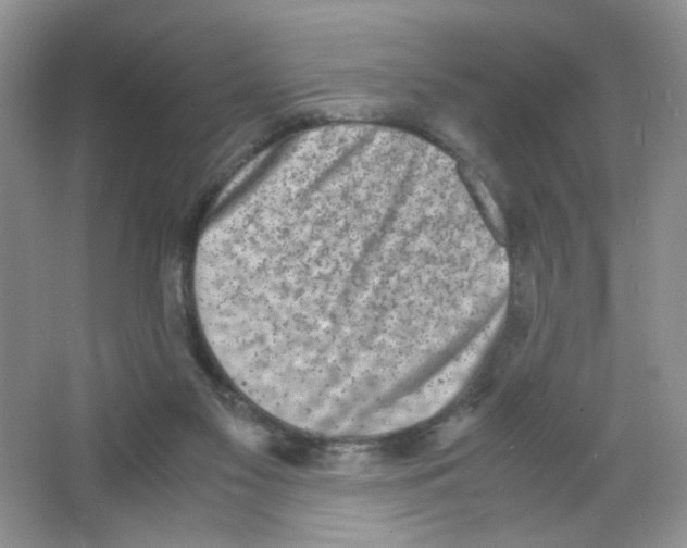 X0000063470117200602172006