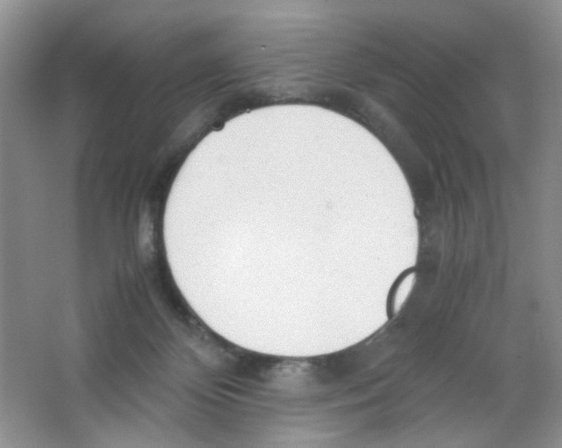 X0000063470124200602172006