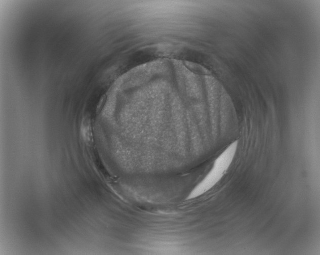 X0000063470137200602172006