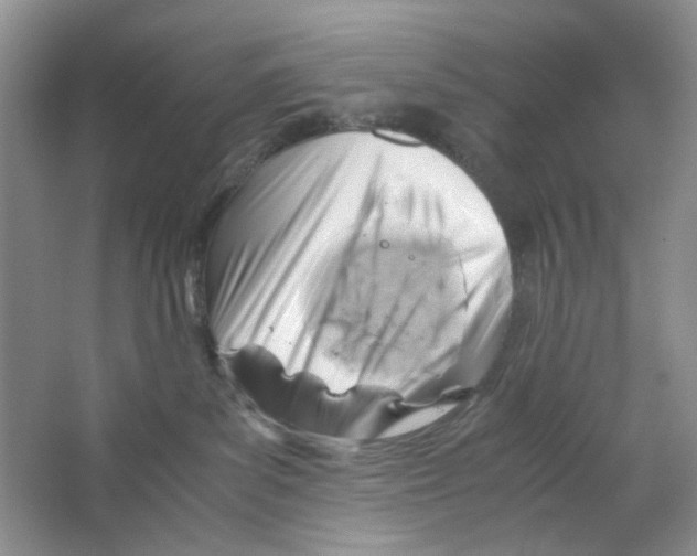 X0000063470139200602172006