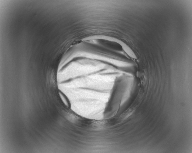 X0000063470143200602172006
