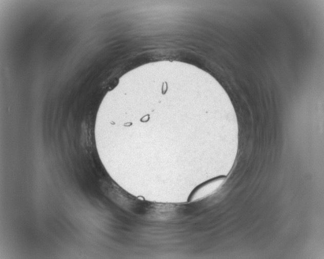 X0000063470144200602172006
