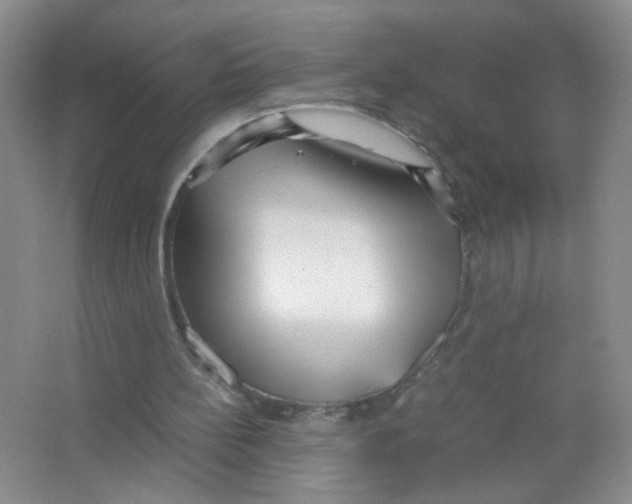 X0000063470148200602172005