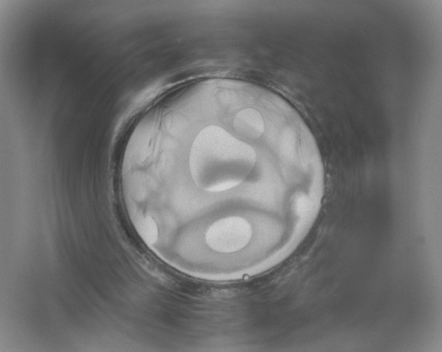 X0000063470149200602172005