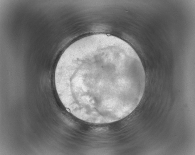 X0000063470155200602172005